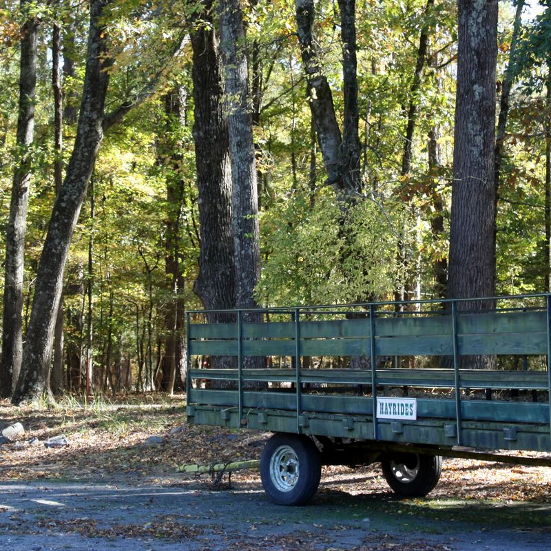 Beavers Bend Depot & Trail Rides Oklahoma's Official